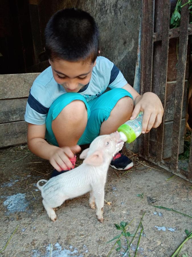 Agriturismo Il Casale Morrovalle Dış mekan fotoğraf